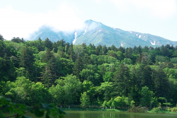 日本百名山「利尻山」の登山情報を解説!絶景を拝める人気のコースは?のイメージ