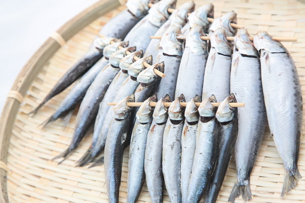 鵡川町名物「鵡川ししゃも祭り」を満喫!刺身や寿司が絶品!旬の時期は?のイメージ