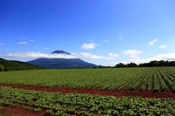 ニセコ観光で外せない観光&体験スポット33選!大自然の魅力を味わう旅に!のイメージ