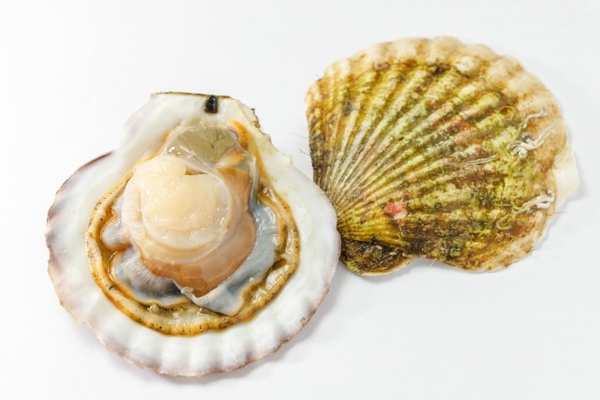 別海町名物グルメ「ジャンボホタテバーガー」は必食!味の評判や値段は?のイメージ