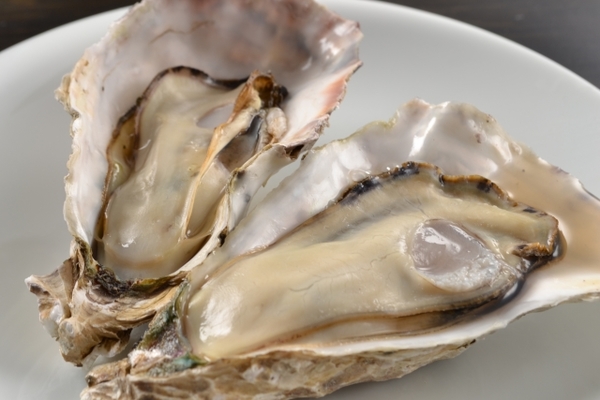 厚岸の「牡蠣まつり」!絶品のブランド牡蠣を安く食べる!日程や時間は?のイメージ