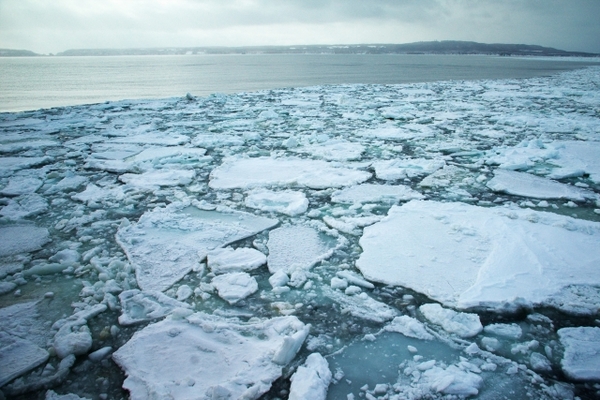 「オホーツク流氷館」で1年中流氷体験!展望台の絶景やグルメも満喫!のイメージ