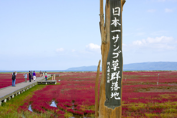 「能取湖」はサンゴ草が真っ赤に染まる紅葉の絶景!潮干狩りも大人気!のイメージ