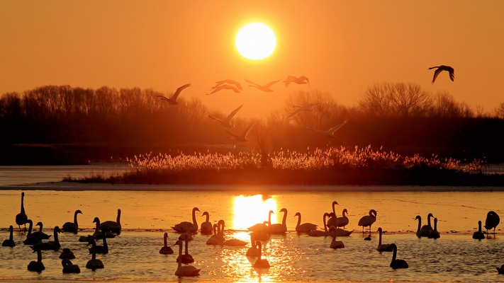 根室市と別海町を跨ぐ「風蓮湖」の観光情報!オオワシなどの野鳥の宝庫?のイメージ