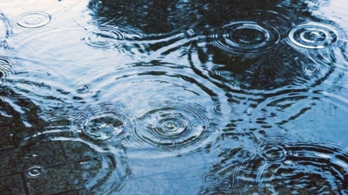 北海道には梅雨がない?蝦夷梅雨やリラ冷えって何?気象現象を解説!のイメージ
