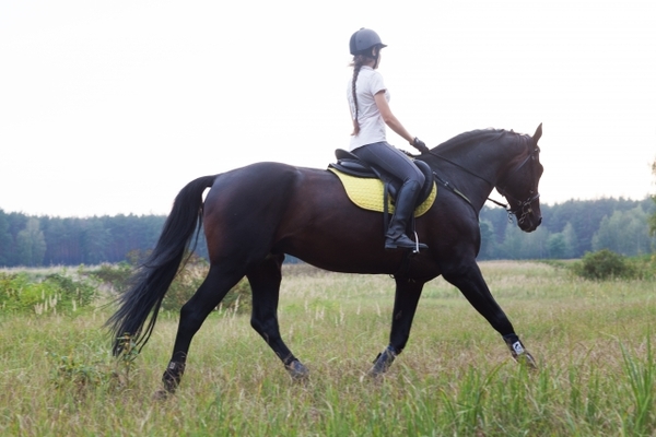 北海道の乗馬体験&トレッキングスポット10選!子供にも人気でおすすめ!のイメージ
