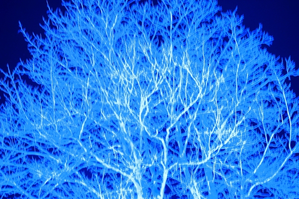 「十和田市現代美術館」でアート鑑賞!世界のアーティスト作品が常設展示!のイメージ