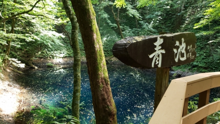 世界遺産・白神山地の奇跡の泉「青池」とは?秘境の絶景に言葉を失う!のイメージ
