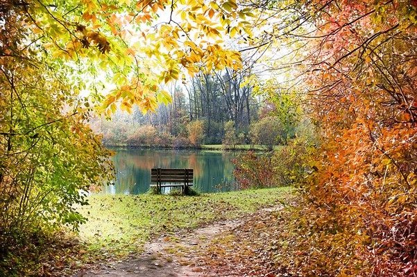 「蔦沼」の紅葉は圧巻!見頃の時期は?秘境の温泉巡り情報も解説!のイメージ