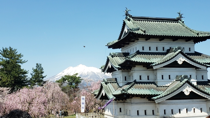 桜の名所「弘前城」が絶景!開花や見頃の時期は?さくらまつり情報も!のイメージ