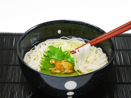 秋田名物「稲庭うどん」が美味しいお店8選!その特徴や製造の歴史とは?のイメージ