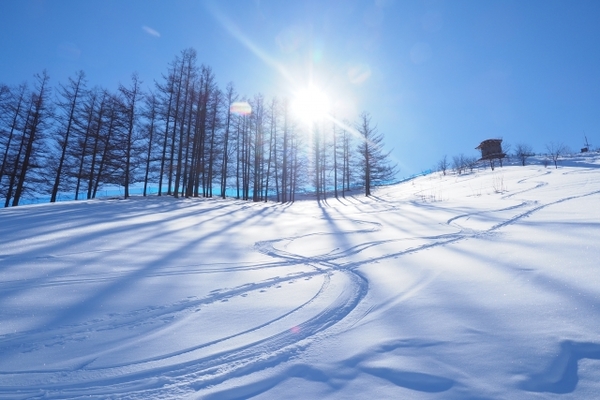 秋田のスキー場ランキングBEST14!積雪情報や初心者におすすめは?のイメージ