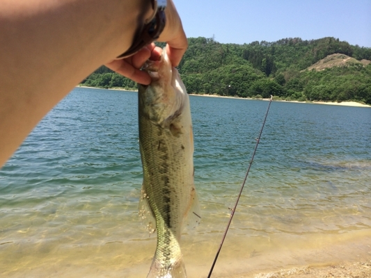 「八郎潟」はバス釣りの名所!おかっぱりポイントや釣果情報を解説!のイメージ