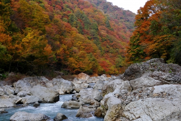秋田「抱返り渓谷」で絶景の紅葉と渓流を散策!見頃の時期やアクセスは?のイメージ