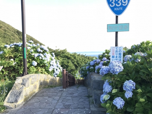 青森「階段国道339号線」は車が通れない唯一の国道!誕生の由来とは?のイメージ