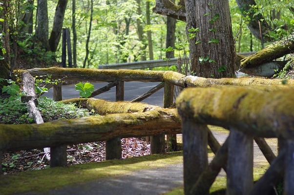 「十和田神社」は有名なパワスポ!不思議な魅力と指輪のお守りを紹介!のイメージ