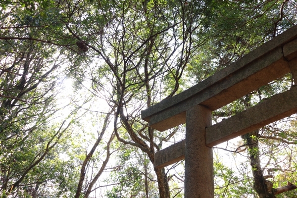 秋田「太平山三吉神社」は勝利の女神のパワスポ!梵天祭りや御朱印を紹介!のイメージ