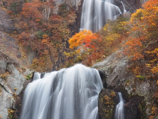秋田「安の滝」は日本の滝100選の名水!紅葉の絶景や悲恋伝説とは?のイメージ