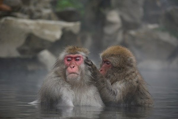 奇跡の秘湯「松川温泉 松楓荘」へ!レトロな木造旅館に乳白色のお湯!のイメージ