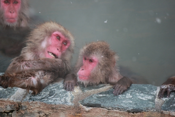 弘前の名湯「白馬龍神温泉」へ!広大な露天風呂や充実した館内施設!のイメージ