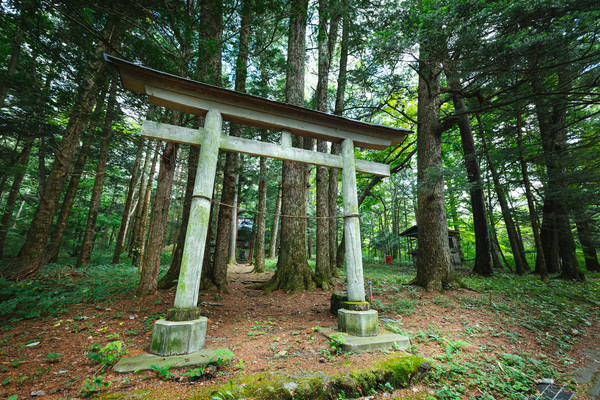 「早池峰神社」は座敷わらしが有名なパワースポット!ご利益や御朱印は?のイメージ