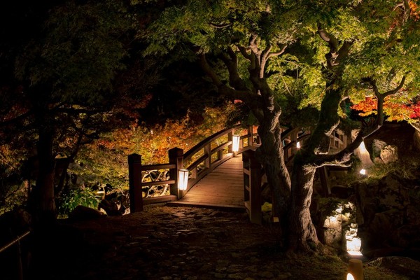 岩手・花巻「宮沢賢治童話村」へ!ライトアップで幻想的な体験を満喫!のイメージ