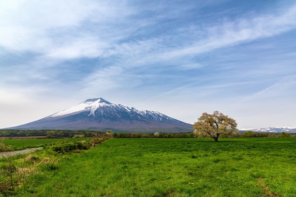 夏の岩手旅行で行きたい観光名所12選!夏休み旅行におすすめを厳選!のイメージ