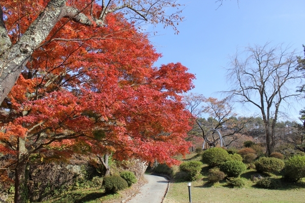秋田「きみまち阪公園」で恋愛成就?紅葉や桜が綺麗なパワースポット!のイメージ