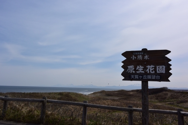 「小清水原生花園」は砂丘の天然花畑!美しい花々や見頃の時期を解説!のイメージ