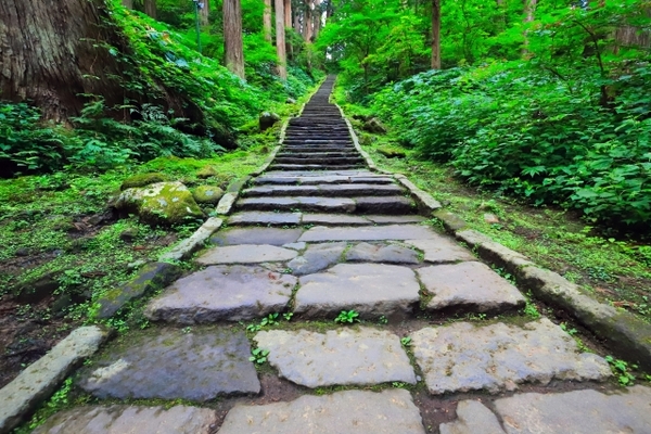山形屈指のパワスポ「羽黒山」の五重塔へ参拝!日本一の石段や御朱印は?のイメージ