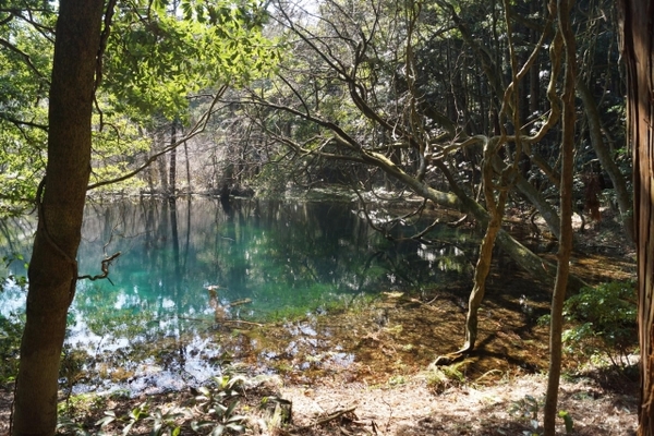 山形の奇跡の泉「丸池様」を観光!変色する絶景やアクセス&駐車場は?のイメージ