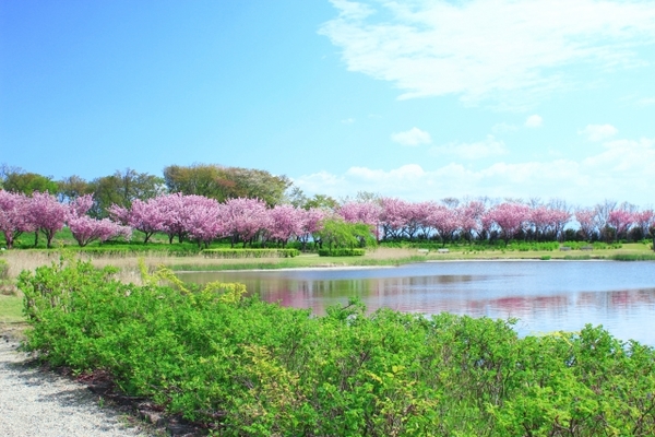 「土門拳記念館」は日本初の写真美術館!約7万点にも及ぶ作品を鑑賞!のイメージ