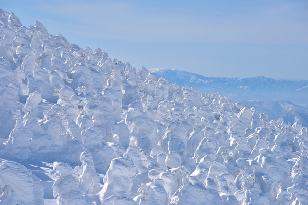 蔵王の樹氷の絶景を見るには?見頃の時期やライトアップ・樹氷まつり情報!のイメージ