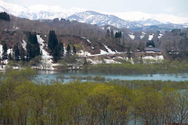 山形「白川ダム」には幻想的な水没林!湖岸公園や撮影ポイントを解説!のイメージ