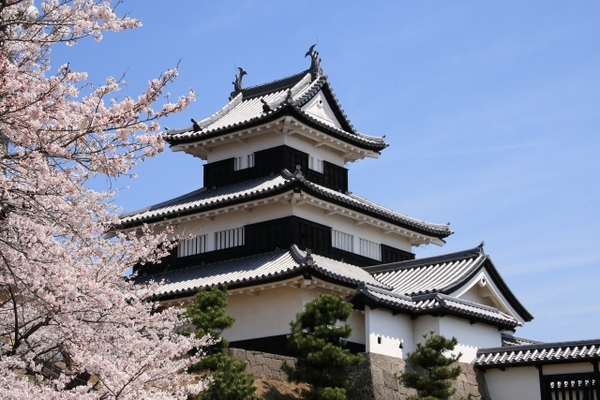 「白河小峰城」は東北三名城の1つ!その歴史や桜の絶景とは?御城印も!のイメージ