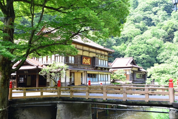 東山温泉「向瀧」は文化財に登録された木造旅館!中庭の絶景や温泉は?のイメージ