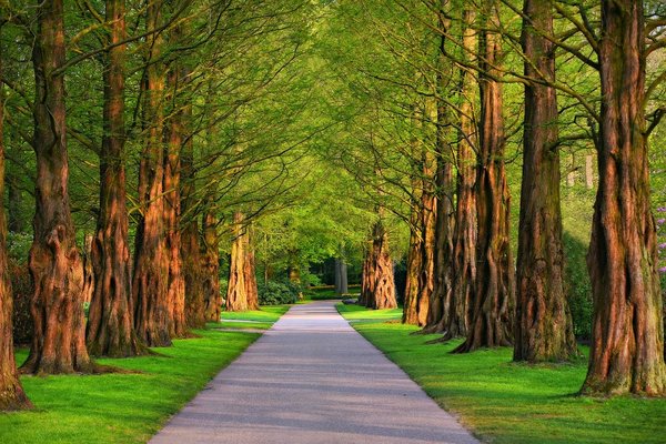「いわき公園」でアスレチックや遊具を楽しむ!紅葉の絶景も必見!のイメージ