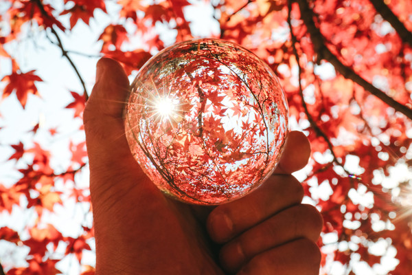 「南湖公園」は日本最古の公園!紅葉や桜の絶景が圧巻!駐車場情報も!のイメージ