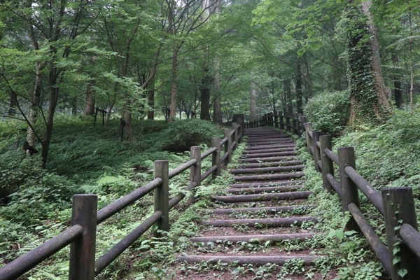 南会津「中山風穴」は神秘の地底空間?天然記念物の特殊植物群落とは!のイメージ