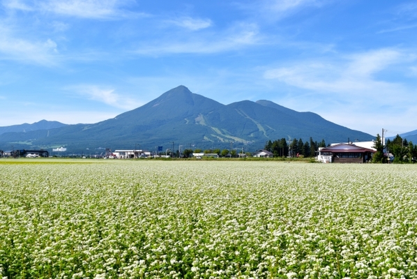 「磐梯山ゴールドライン」で絶景紅葉ドライブ!通行情報や見所を解説!のイメージ