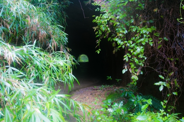 福島の最恐心霊スポット20選!危険な噂が絶えないやばい廃墟や遊園地が?のイメージ