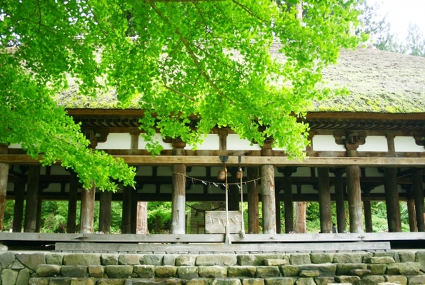 「新宮熊野神社」には長床と呼ばれる拝殿あり!イチョウの紅葉や御朱印は?のイメージ
