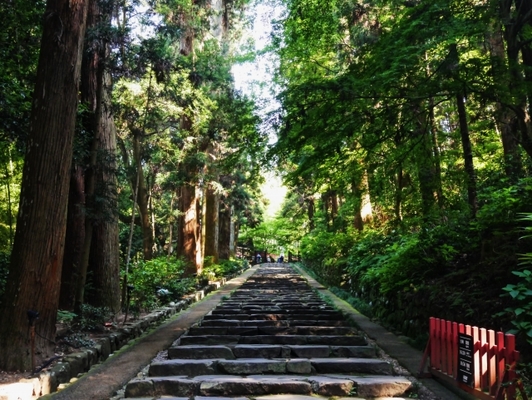 宮城県の最強パワースポット12選!金運や恋愛運UPの大自然や神社へ!のイメージ