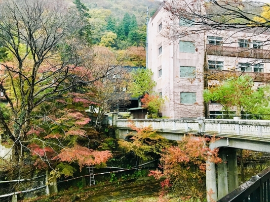 東山温泉「くつろぎ宿 新滝」は歴史ある旅館!4種の源泉掛け流しが魅力!のイメージ