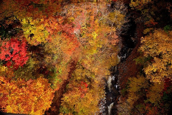 「中津川渓谷」は裏磐梯を代表する紅葉の名所!見頃やレストハウスを紹介!のイメージ