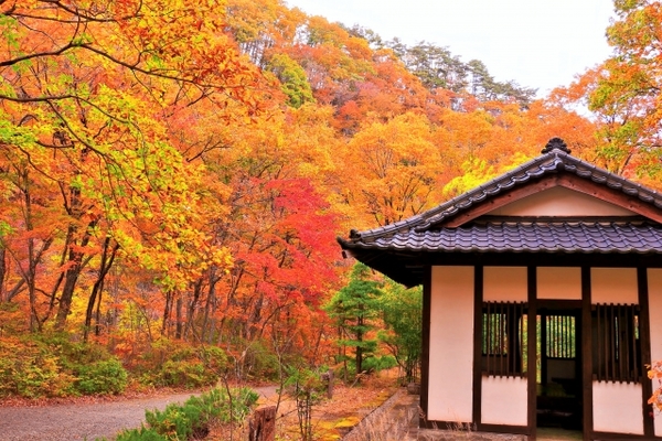 仙台の紅葉狩り名所11選!見頃の時期は?ライトアップの絶景も必見!のイメージ