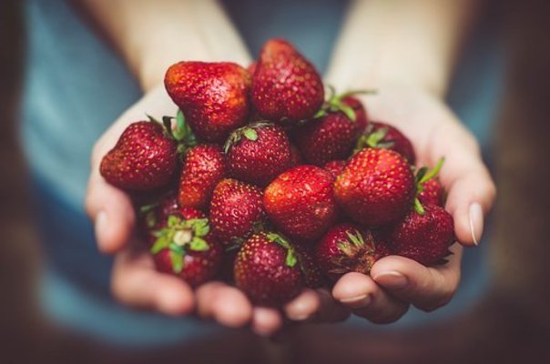宮城のおすすめいちご狩りスポットTOP13!旬の時期や食べ放題は?のイメージ