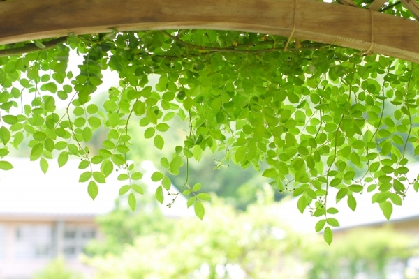 「みずいろ公園」は本宮市のオアシス公園!水遊びや遊具で子供に大人気!のイメージ