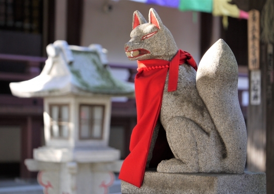 「金蛇水神社」は金運UPのパワスポ!御朱印やお守りは?花まつりも紹介!のイメージ