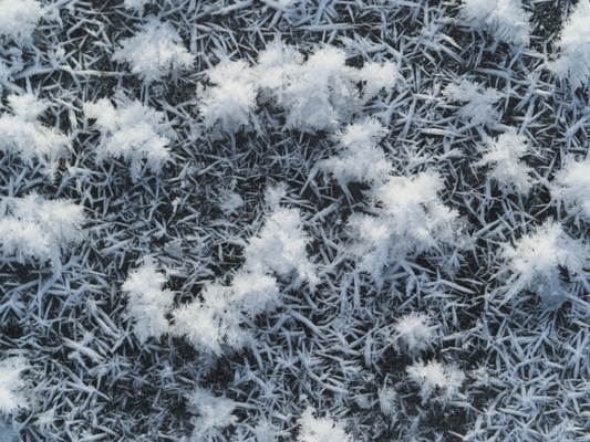 「フロストフラワー」とは雪と氷の奇跡の絶景!阿寒湖や屈斜路湖に現れる?のイメージ